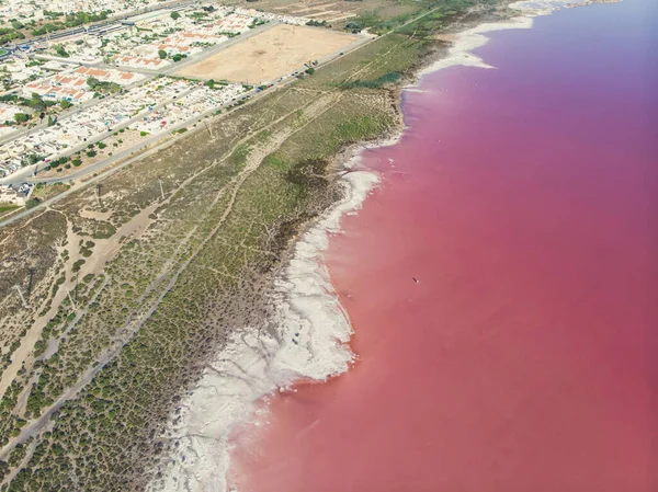 Güzel Geniş Hava Manzaralı Torrevieja Pembe Gölü Alicante Spai Kosta — Stok fotoğraf