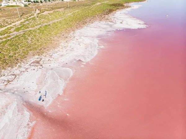 Güzel Geniş Hava Manzaralı Torrevieja Pembe Gölü Alicante Spai Kosta — Stok fotoğraf