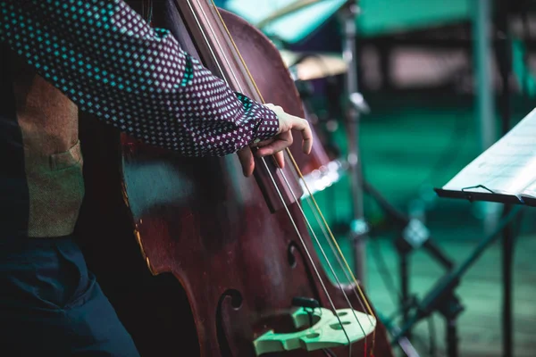 Concert view of a contrabass violoncello player with vocalist and musical band during jazz orchestra band performing music, violoncellist cello jazz player on stag