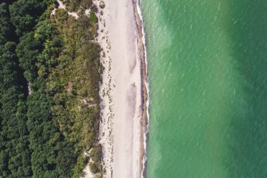 Curonian salyası, Kurshskaya Kosa Ulusal Parkı, Curonian Gölü ve Baltık Denizi, Kaliningrad Oblastı, Rusya ve Klaipeda İlçesi, Litvanya, yaz günü