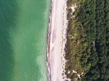 Curonian salyası, Kurshskaya Kosa Ulusal Parkı, Curonian Gölü ve Baltık Denizi, Kaliningrad Oblastı, Rusya ve Klaipeda İlçesi, Litvanya, yaz günü