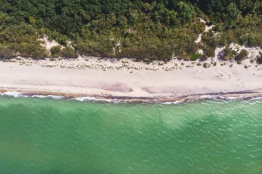 Curonian salyası, Kurshskaya Kosa Ulusal Parkı, Curonian Gölü ve Baltık Denizi, Kaliningrad Oblastı, Rusya ve Klaipeda İlçesi, Litvanya, yaz günü