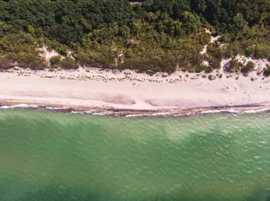 Curonian salyası, Kurshskaya Kosa Ulusal Parkı, Curonian Gölü ve Baltık Denizi, Kaliningrad Oblastı, Rusya ve Klaipeda İlçesi, Litvanya, yaz günü