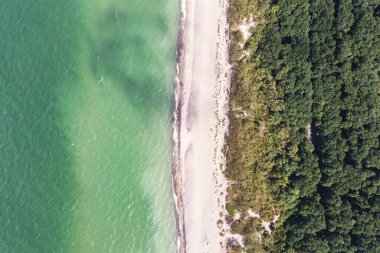 Curonian salyası, Kurshskaya Kosa Ulusal Parkı, Curonian Gölü ve Baltık Denizi, Kaliningrad Oblastı, Rusya ve Klaipeda İlçesi, Litvanya, yaz günü