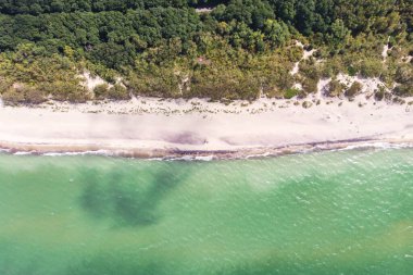 Curonian salyası, Kurshskaya Kosa Ulusal Parkı, Curonian Gölü ve Baltık Denizi, Kaliningrad Oblastı, Rusya ve Klaipeda İlçesi, Litvanya, yaz günü