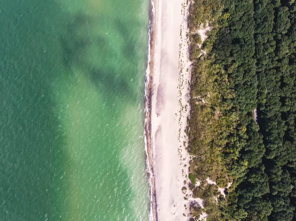 Curonian salyası, Kurshskaya Kosa Ulusal Parkı, Curonian Gölü ve Baltık Denizi, Kaliningrad Oblastı, Rusya ve Klaipeda İlçesi, Litvanya, yaz günü