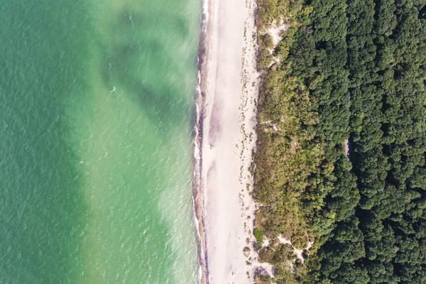 Curonian salyası, Kurshskaya Kosa Ulusal Parkı, Curonian Gölü ve Baltık Denizi, Kaliningrad Oblastı, Rusya ve Klaipeda İlçesi, Litvanya, yaz günü