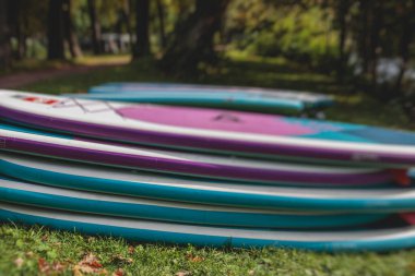 Bir grup sup sörfçüsü ayağa kalkar, kadınlar şehrin nehri ve kanalında yazın güneşli havalarda birlikte kürek çeker.