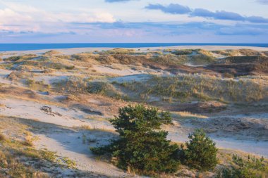 Curonian Spit, Kurshskaya Kosa Ulusal Parkı, Curonian Gölü ve Baltık Denizi, Kaliningrad Oblastı, Rusya ve Klaipeda İlçesi, Litvanya, yaz güneşli da