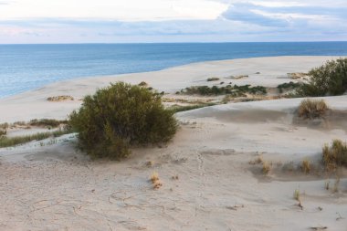 Curonian Spit, Kurshskaya Kosa Ulusal Parkı, Curonian Gölü ve Baltık Denizi, Kaliningrad Oblastı, Rusya ve Klaipeda İlçesi, Litvanya, yaz güneşli da