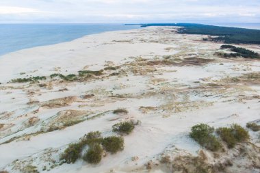 Curonian Spit, Kurshskaya Kosa Ulusal Parkı, Curonian Gölü ve Baltık Denizi, Kaliningrad Oblastı, Rusya ve Klaipeda İlçesi, Litvanya, yaz güneşli da