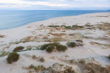 Curonian Spit, Kurshskaya Kosa Ulusal Parkı, Curonian Gölü ve Baltık Denizi, Kaliningrad Oblastı, Rusya ve Klaipeda İlçesi, Litvanya, yaz güneşli da
