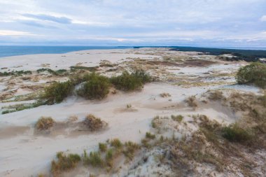 Curonian Spit, Kurshskaya Kosa Ulusal Parkı, Curonian Gölü ve Baltık Denizi, Kaliningrad Oblastı, Rusya ve Klaipeda İlçesi, Litvanya, yaz güneşli da