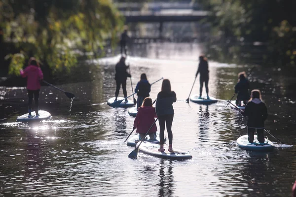 Group of sup surfers stand up paddle board, women stand up paddling together in the city river and canal in summer sunny da