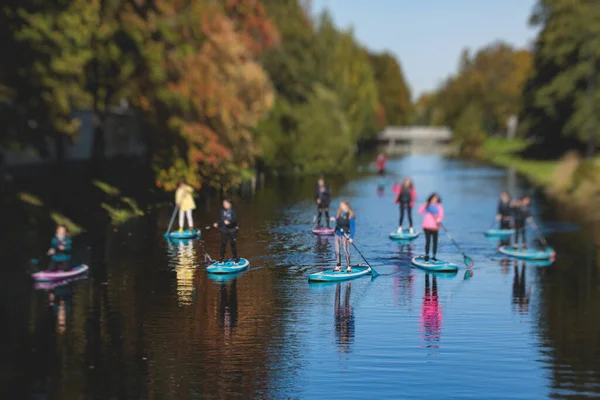 Group of sup surfers stand up paddle board, women stand up paddling together in the city river and canal in summer sunny da