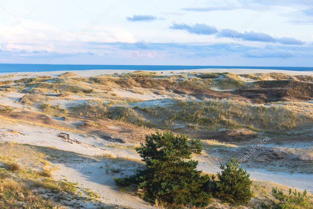 View of sand dunes of Curonian Spit, Kurshskaya Kosa National Park, Curonian Lagoon and the Baltic Sea, Kaliningrad Oblast, Russia and Klaipeda County, Lithuania, summer sunny da