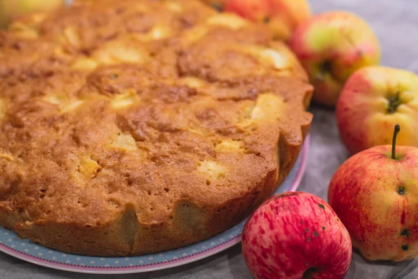 View Sharlotka Cake Traditional Seasonal Apple Homemade Baked Sponge — Stock Photo, Image