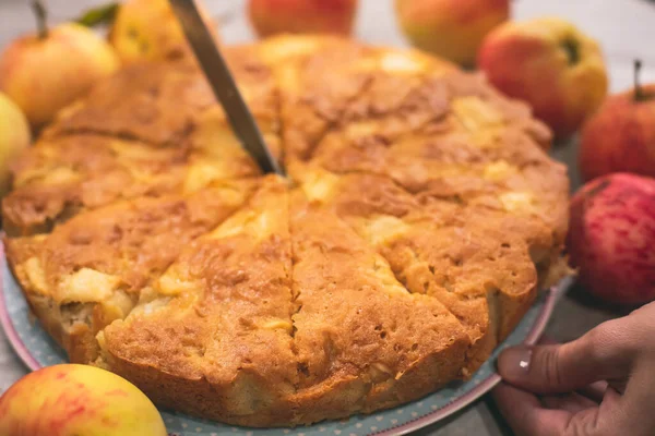 View Sharlotka Cake Traditional Seasonal Apple Homemade Baked Sponge — Stock Photo, Image