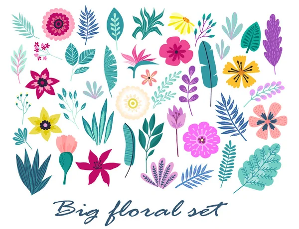 Big Set Hand Drawn Tropical Flowers Palm Leaves Branches Summer — Stock Vector