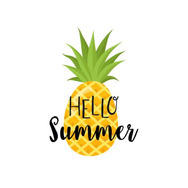 Yaz etiketleri, logolar, el çizimi etiketleri ve elemanları