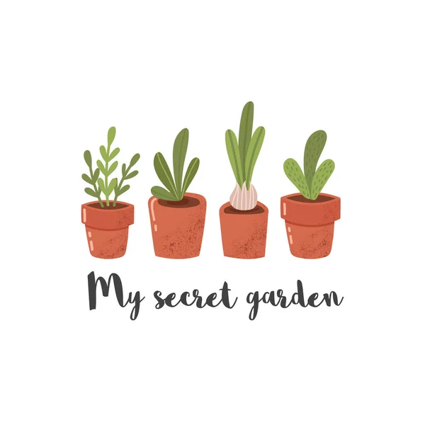 My secret garden phrase and cute flower pots — Stock Vector