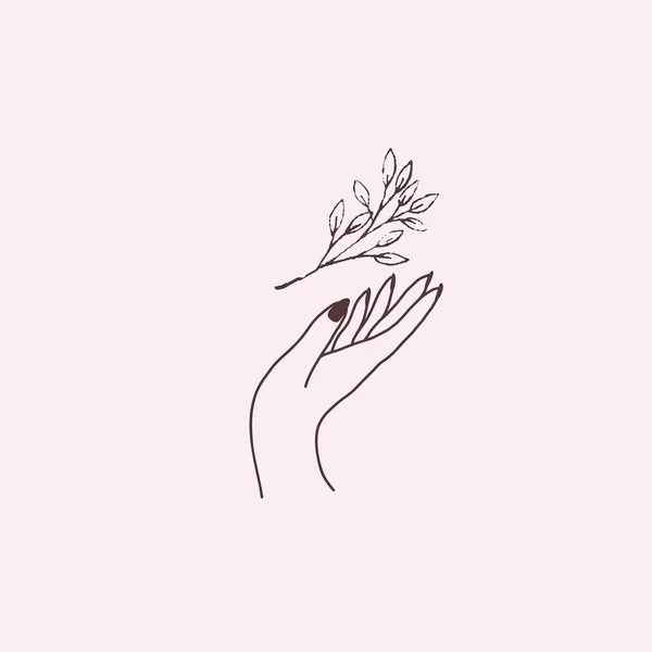 Feminine Hand Logo Kollektion mit floralem Kraut. flache Esoterik — Stockvektor