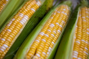 Mısır koçanı, A ve C vitaminleri açısından zengin tahıl gevreği.
