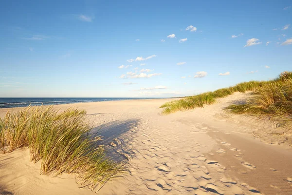 Slovinski Nationalpark Leba Sanddyn Vid Östersjön — Stockfoto