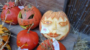 Balkabağı sanatı. Kabak oymacılığı. Cadılar Bayramı.