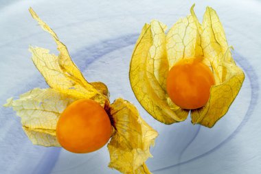 Mavi plaka üzerinde iki Goldenberries