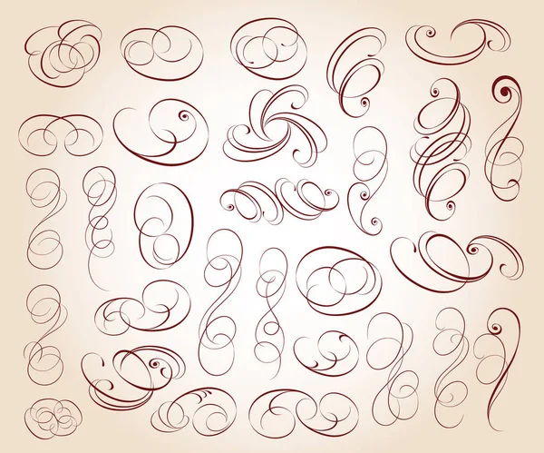 Eléments Calligraphiques Élégants Design Illustration Vectorielle — Image vectorielle