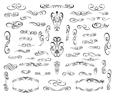 Tasarım için çiçekli dekoratif öğeler seti, izole, düzenlenebilir. Vignettler, çerçeveler, bölücüler.