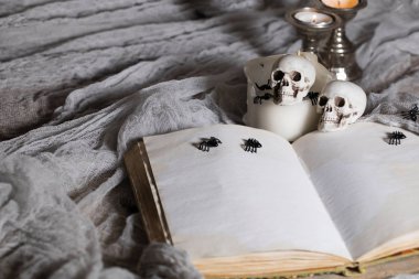 Bewitchment kitabında bir metin için boş alan ile açıldı. Bewitchment sembolleri - kafatasları, otlar, mumlar, örümcekler içinde belgili tanımlık geçmiş. Gri renkler egemenlik