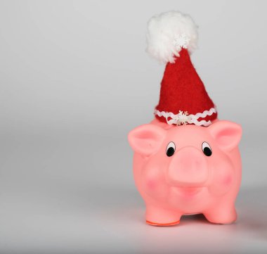 Pembe piglet Santa Claus şapka ve Noel hediyesi. Portre