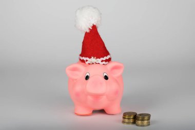 Santa Claus şapka içinde pembe domuz yavrusu. Portre