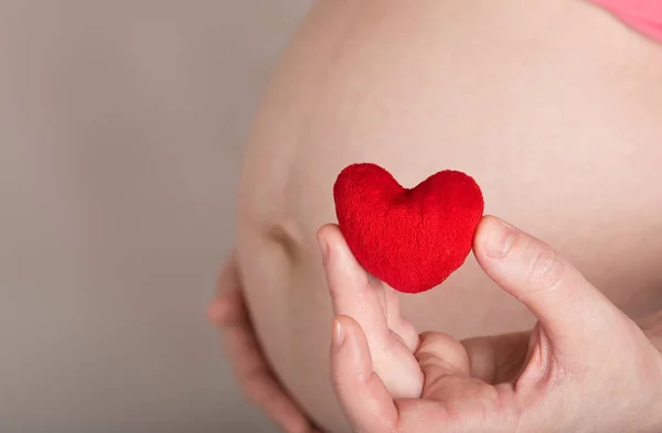 Молодая беременная женщина держит маленькое красное плюшевое сердце рядом с ней быть — стоковое фото