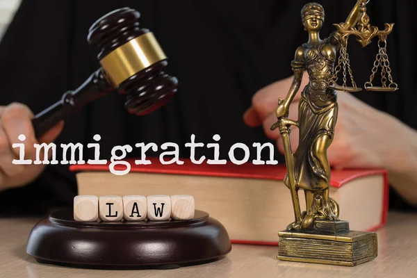 言葉移民法は、木製のサイコロで構成されています。木製のガゼルと — ストック写真