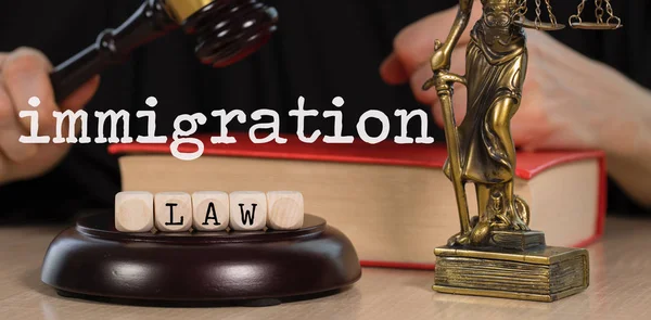 字 移民法由木骰子组成。木制的和 — 图库照片