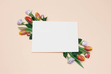 Çiçekli Çerçeve. Gül ve Lale. Bahar