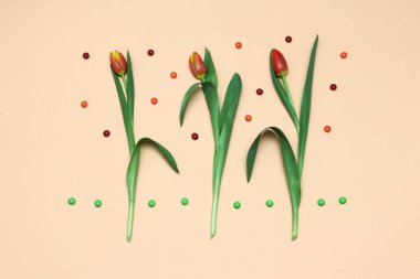 Bahar laleler ve tatlılar arka plan. Düz Kırmızı Sarı laleler ve şeker ile yatıyordu. Kırmızı Sarı laleler çerçeveli. Bahar çiçekleri güzel arka plan