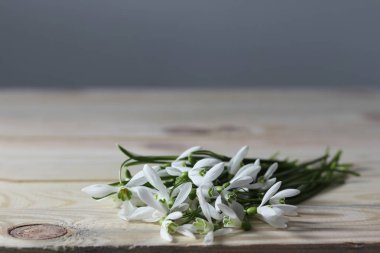 Kardelen masanın üzerinde. Bahar çiçek buketi. Kardelen arka plan. Ahşap masa üzerinde bahar çiçekleri. Tatil Resepsiyon. Tatil çiçekler. Bahar çiçekleri ile vazo. Kardelen ile kase.