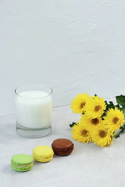 Glass of milk, macaroon and yellow flowers on grey concrete table