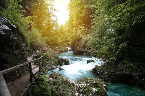 Prachtig Uitzicht Bergrivier Zonlicht Door Bomen Reizen Slovenië Vintgar Vakantie — Stockfoto