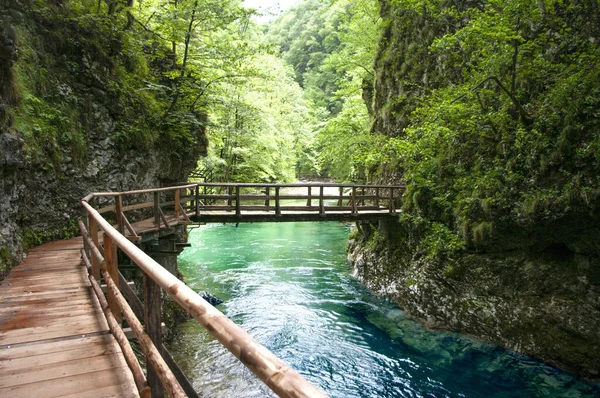 Holzbrücke Über Dem Gebirgsfluss Wilde Naturlandschaft Sauberes Wasser Schöne Baackwiese — Stockfoto