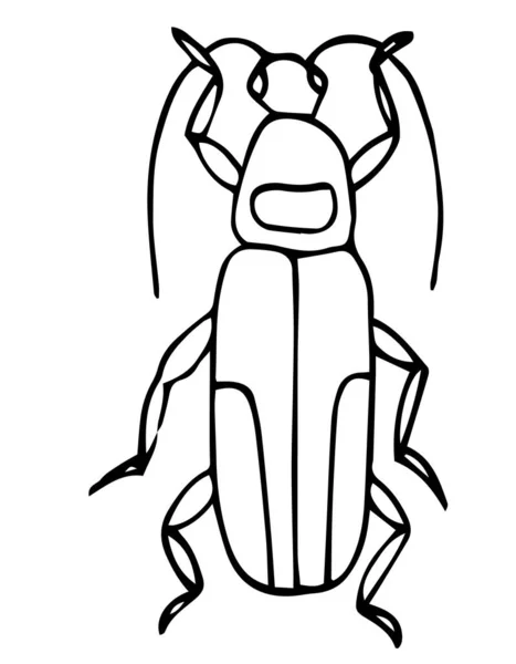 Beetle Easy Coloring Page Kids Exotic Bug Collection Hand Drawn — Stock Vector