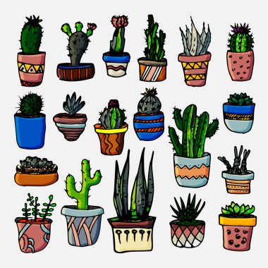 Kaktüs ve sulu vektör seti. El çizimi çizimi. Tropik bitkiler. Botanik grafik tasarımı. Çıkartmalar.