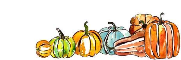 Banner Watercolor Pumpkins Set Autumn Harvest Season Thanksgiving Clipart Collection — Stock Photo, Image