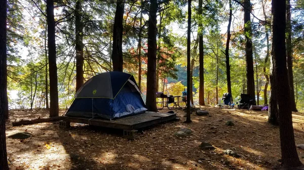 New Hampshire Campsite Fall — ストック写真