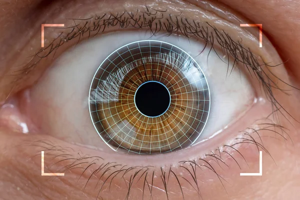 Concepto Biometría Exploración Ocular Reconocimiento — Foto de Stock