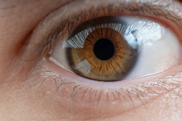 Zbliżenie Oko Człowieka — Zdjęcie stockowe